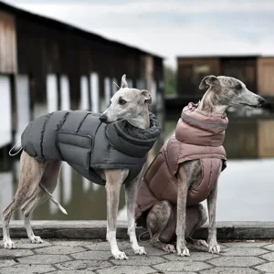 Waterdichte Winterjas voor Honden Warm Verstelbaar met Reflecterende Strips Machinewasbaar