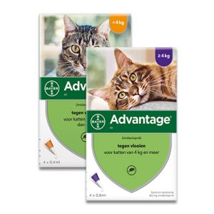 Advantage katten