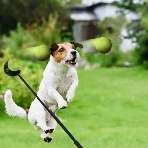 Werpstok voor honden - ballenwerper - hondenspeelgoed
