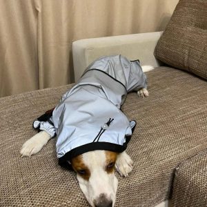 Waterbestendige Hondenregenjas Reflecterend Comfortabel Verstelbaar Gemakkelijk Schoon Te Maken Voor Alle Maten