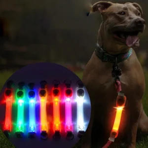 Lichtgevende Honden Halsband LED Veiligheid