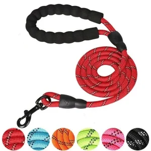 Hondenriem | Reflecterend Zwaar Ontwerp | Nylon met Gewatteerd Handvat