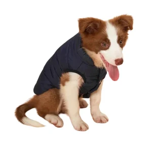 Koudebestendige Winterjas Voor Kleine Honden Fleece Voering Warm Comfortabel Gemakkelijk Aan Te Trekken