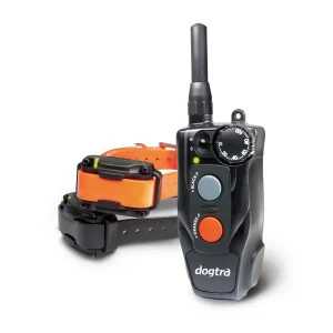 DOGTRA 612C Trainingsband
