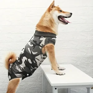 Hondenkleding Voor Herstel Na Operatie