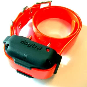 DOGTRA Losse Halsband Oranje