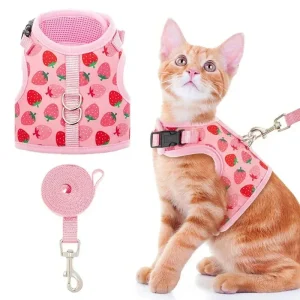 Harnas Kraag Escape Proof Tuig En Leiband Set Ademend Kitten Puppy Kleine Honden Borst Vest Geen Pull