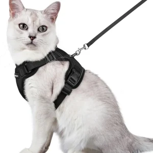 Kattentuigset | Anti-Ontsnapping Reflecterend Vest | Verstelbare Banden