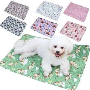 Absorberend Waterdicht Huisdierenbed Pluche Comfort Geurbestrijding Antislip Machinewasbaar Voor Droge Vloeren