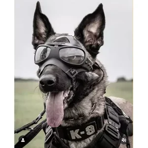 Spec Opt Eye Protection K9 Goggles