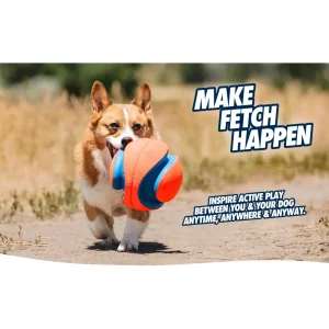 Chuckit! Giggle Kick Fetch