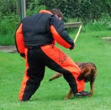 SEYNAEVE French Ring Competition bijtpak