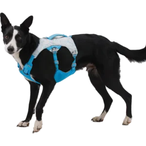 Ruffwear Swamp Cooler Cooling Dog Harnas