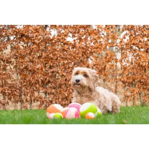Dog Comets Glow In The Dark Moon Bal