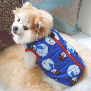 Warme Winterjas Voor Kleine Honden Met Print