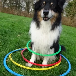 Flexibele Hoepel 60 cm