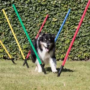 Buigzame houder slalomstok met stalen pin