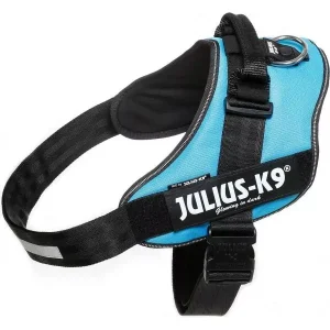 Julius K9 IDC Powertuig Aquamarine