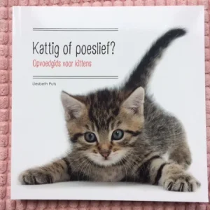 Opvoedgids voor kittens: Kattig of poeslief?
