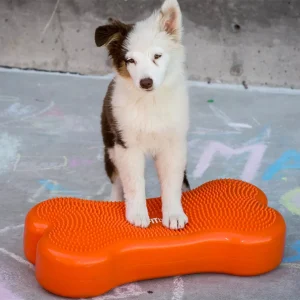 K9FITbone -58 x 29 x 10 cm