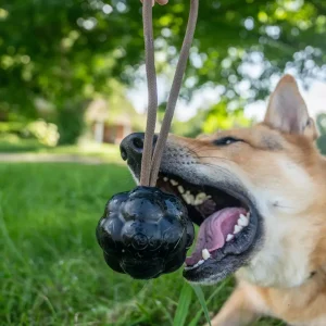 Monster K9 Rumble Rope Ball