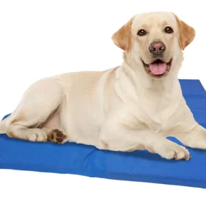 Quapas! Honden Koelmat