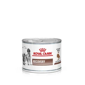 Royal Canin Recovery Mousse Hond/Kat