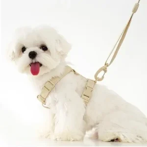 Lichte Kleur Hondentuig Leiband Set Voor Kleine Honden