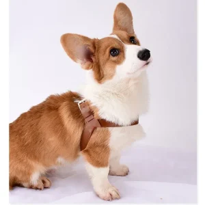 Waterdicht Leren Hondentuig Hoge Kwaliteit Comfortabel