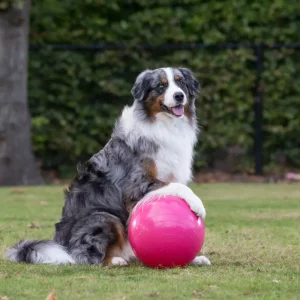 Gymnic Treibball 30 cm Fuchsia