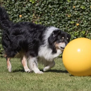 Gymnic Treibball 45 cm Geel