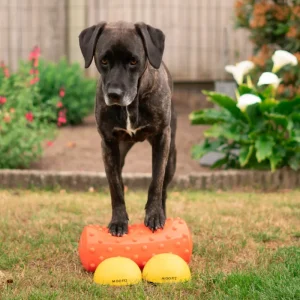 Trigger Rol met sensorische knobbels