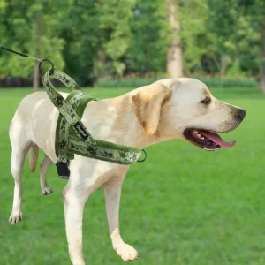 Verstelbaar Zacht Anti Trek Hondentuig