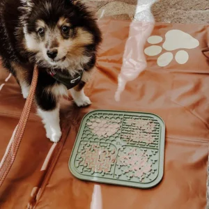 Siliconen Likmat voor Honden Antislip Slowfeeder voor Droog en Nat Voer