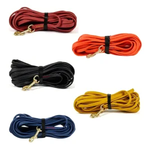 Lange Trainingslijn voor Honden | Waterdicht PVC | Gewatteerde Neopreen Handgreep | 360° Draaibare Clip