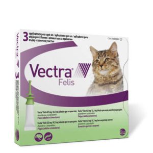 Vectra Felis