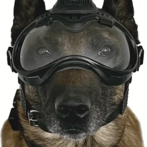 K9VS Argos K9 Camera System