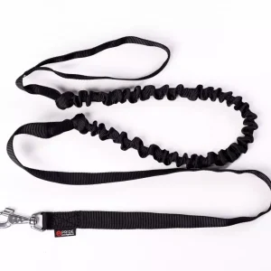 PRIDE Leiband met Bungeekoord Canicross
