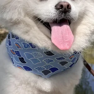 Koelende halsband Directe koeling voorkomt oververhitting