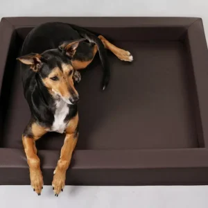 Mypado Harko Kunstleder Premium Hondenmand