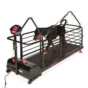 Dog Runner Ortho Pro