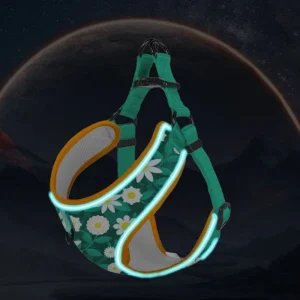 Sterke Hondenriem Reflecterend Stiksel Ergonomisch Handvat Duurzaam Polyester Geschikt voor Alle Honden