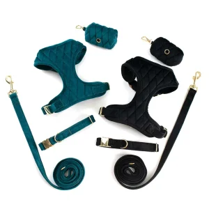 Fluwelen Diamond Tuig En Riem Voor Honden