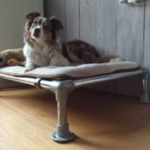 Hondenmand Stoer van Steigerbuis