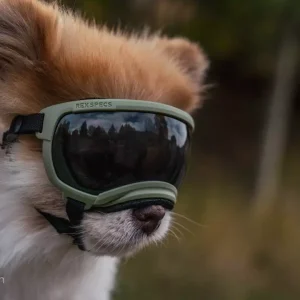 REX SPECS Hondenbril XS V2