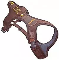 Niggeloh Harnas Follow Light