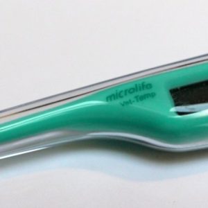 Thermometer digitaal microlife