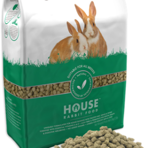 Science Selective House Rabbit